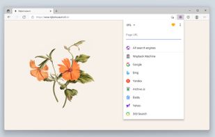 Web Archives screenshot 2