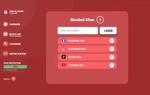 BLOCK LIST: COMMAND CENTER

Flexible control: block entire domains or specific pages — your choice.

Password protection for removal — your impulse to "just quickly check" hits a wall.