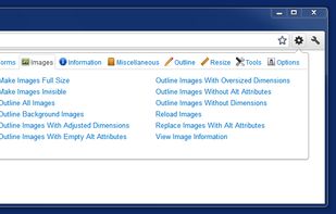 Web Developer screenshot 1