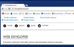 Web Developer screenshot 3