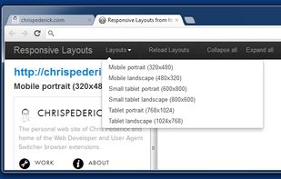 Web Developer screenshot 2