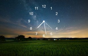 Web Screensaver screenshot 1