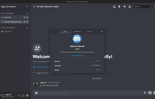 WebCord screenshot 1