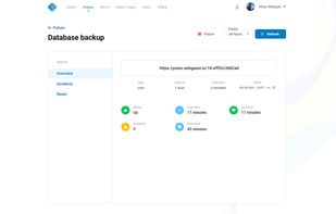 pulse cron monitoring detail