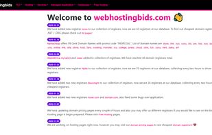 Webhostingbids screenshot 1