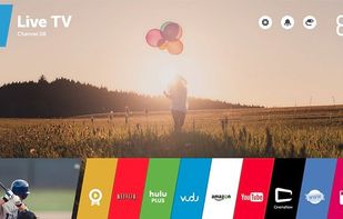 webOS Open Source Edition screenshot 1