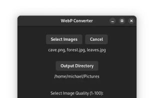 WebP Converter screenshot 1