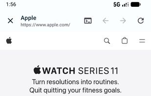 WebToApp screenshot 3