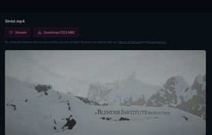 Webtor screenshot 2