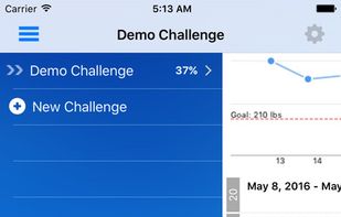 Weekly Challenge Pro screenshot 3