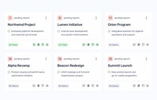Live project view with structured status, risks and project details