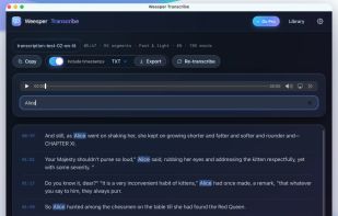 Search the transcription history by keyword or meaning.