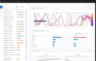 Weights & Biases screenshot 1