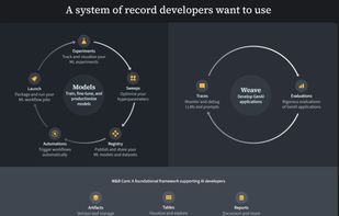 Weights & Biases screenshot 2