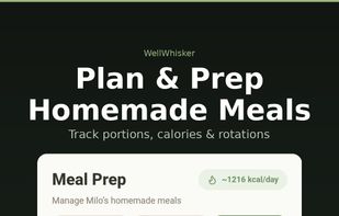 Plan & Prep Homemade Meals