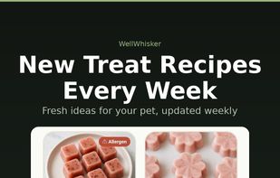 New Treat Recipes Every Week