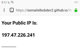 What is My IP Address screenshot 1
