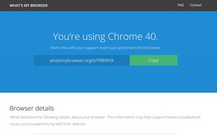 What's My Browser screenshot 1