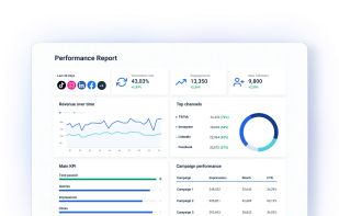 Whatagraph screenshot 2