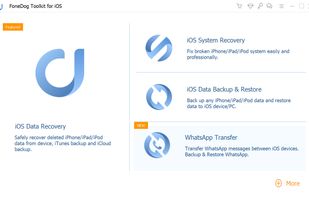 WhatsApp Transfer screenshot 1