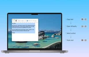 Wheelly.ai screenshot 2
