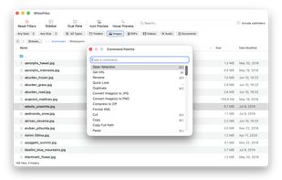 WhimFiles screenshot 2