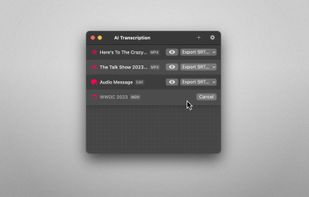 Whisper AI Transcription screenshot 3