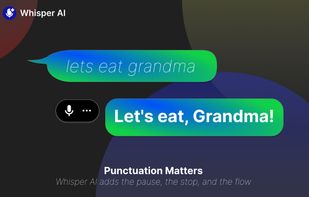 Whisper AI screenshot 2