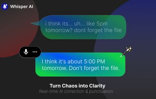 Whisper AI screenshot 1