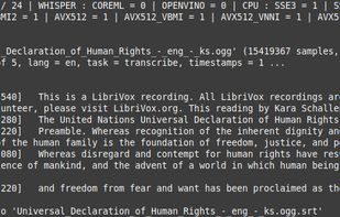60 seconds of the English language LibriVox Universal Declaration of Human Rights read by Kara Shallenberg.
