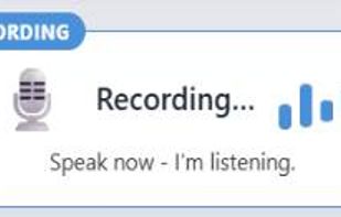 Whisper Vox screenshot 2