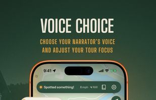 A choice of narrator voices to choose.