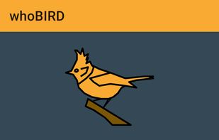 whoBIRD screenshot 1