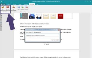 Secure PDFs with a password