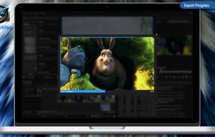 wide.video screenshot 2