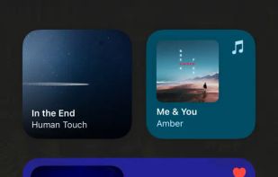 WidgetPod screenshot 1