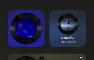 WidgetPod screenshot 3