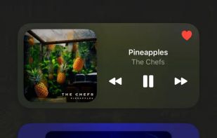 WidgetPod screenshot 2