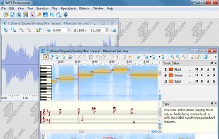 WIDI Recognition System screenshot 1