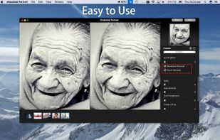 WidsMob Portrait screenshot 2
