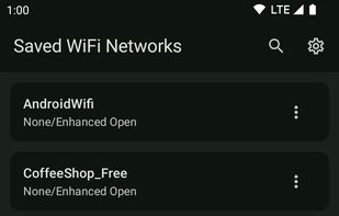 WiFi Password Manager screenshot 1