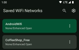 WiFi Password Manager screenshot 1