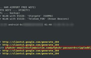 Wifiphisher screenshot 2