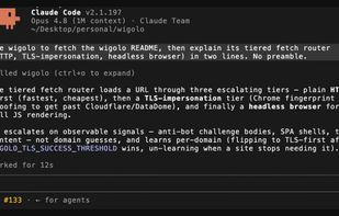 wigolo screenshot 1