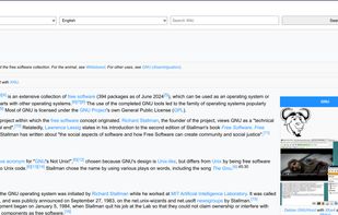 Example of Wikipedia article.
