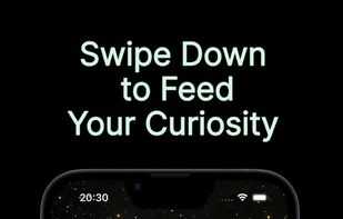 WikiTok screenshot 2