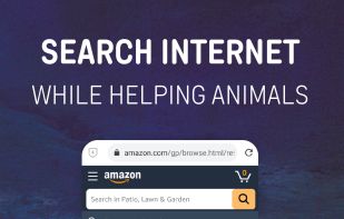 Wild Browser screenshot 3