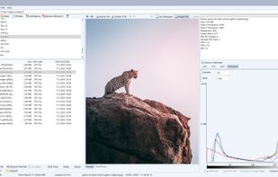 WildBit Viewer screenshot 1