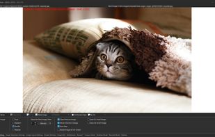 WildBit Viewer screenshot 3