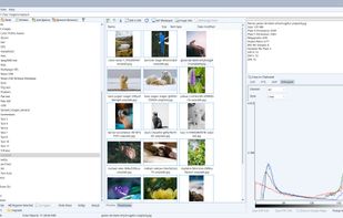 WildBit Viewer screenshot 1